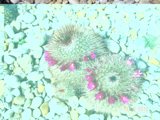 A 017.jpg