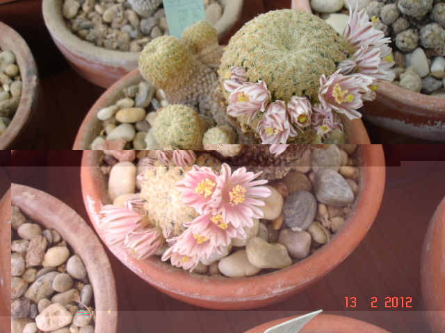 A 022.jpg