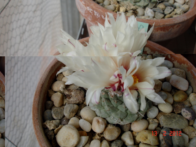 A 023.jpg