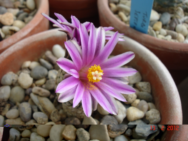 A 027.jpg