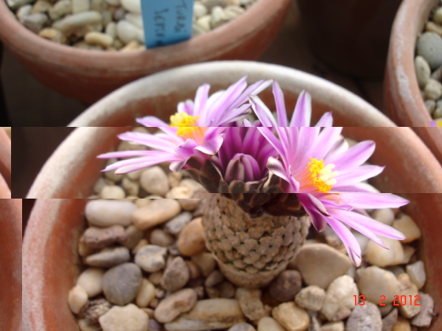 A 028.jpg