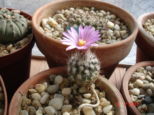 A 030.jpg