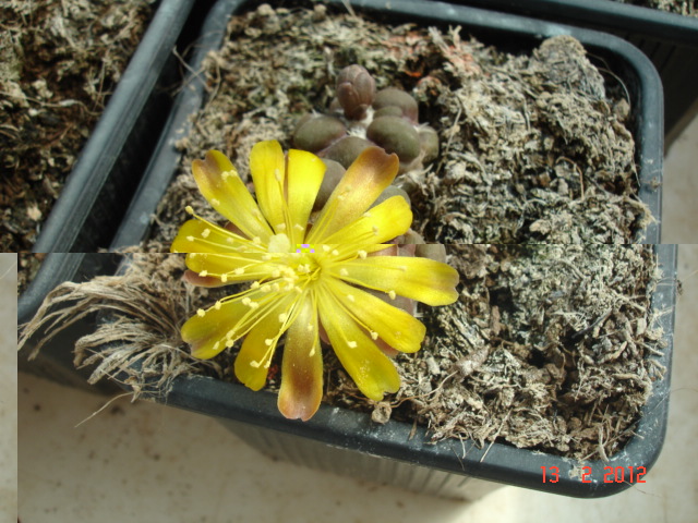 A 032.jpg