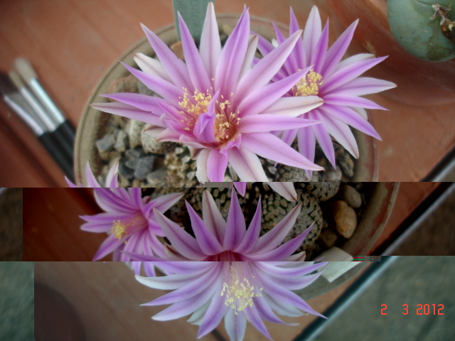 A 016.jpg