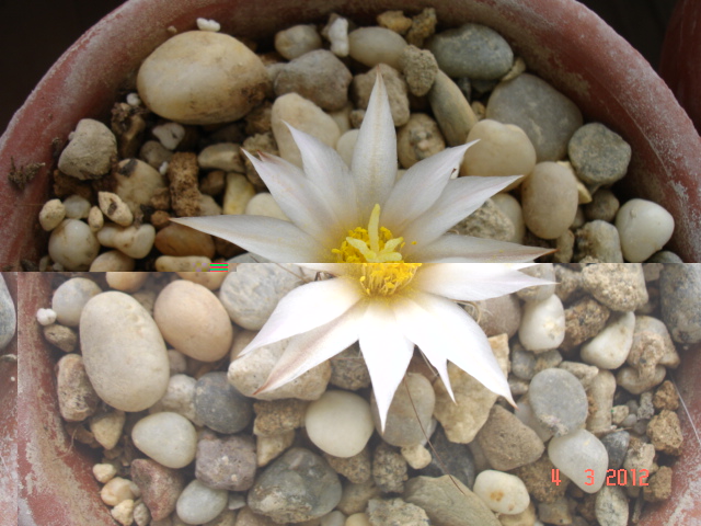 A 023.jpg
