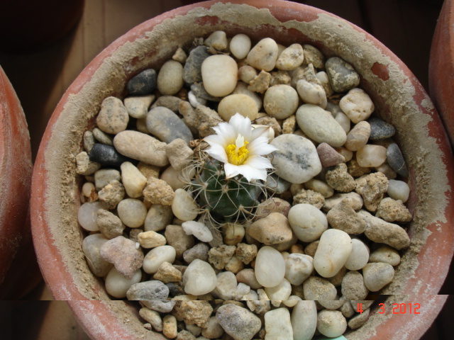 A 024.jpg