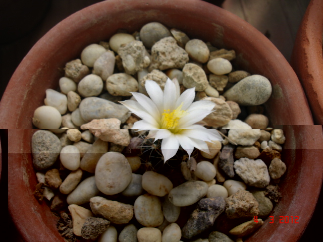 A 025.jpg