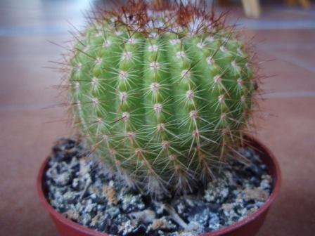 Foto 7a