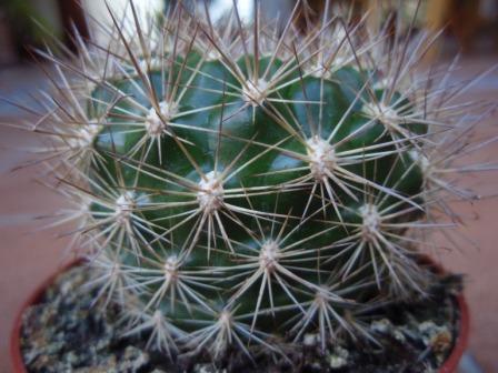 Foto 5a