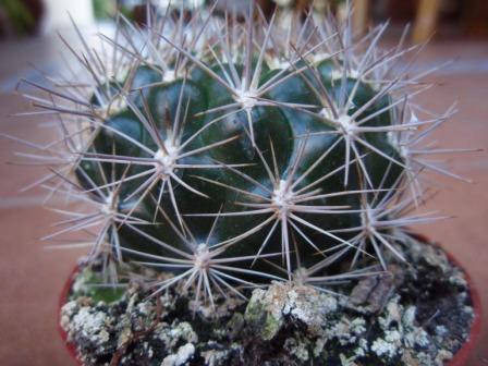 Foto 3a