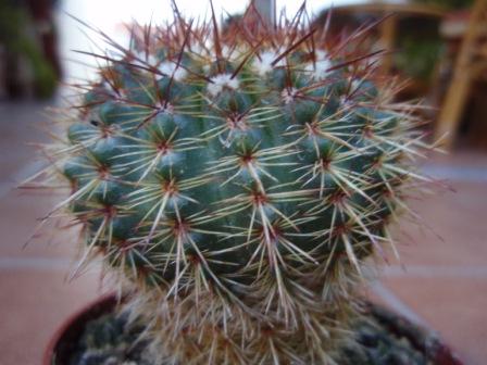 Foto 2a