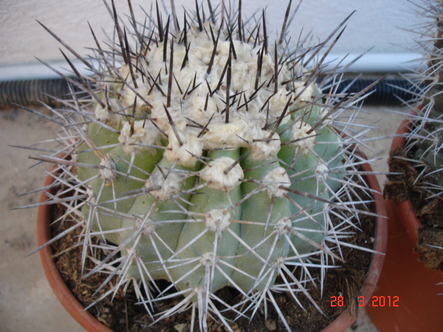 A 004.jpg