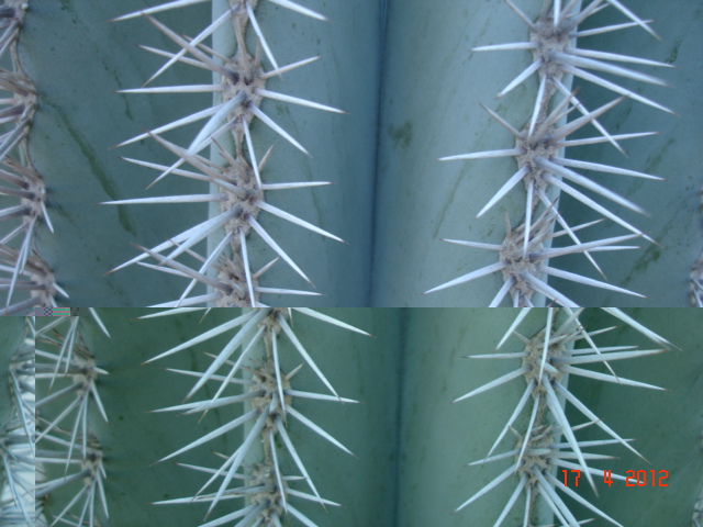 A 005.jpg