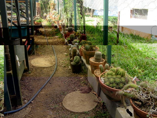 img4752.jpg