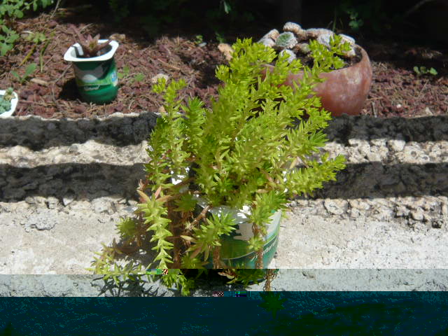 P1050169.JPG