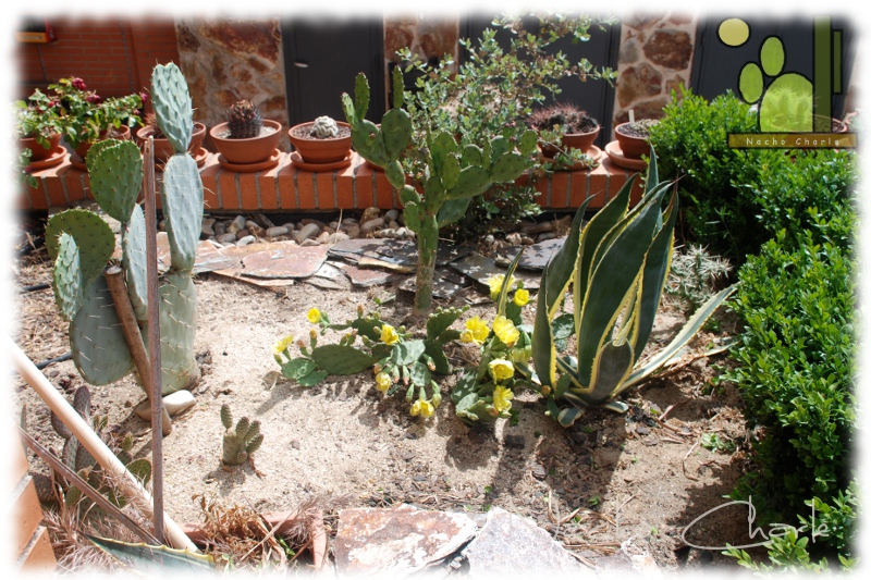 Entrada 2012 06.JPG