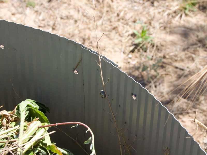 Compostadoras2.jpg