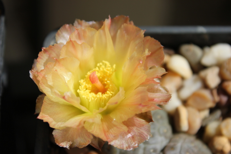 1-20120525 009.jpg