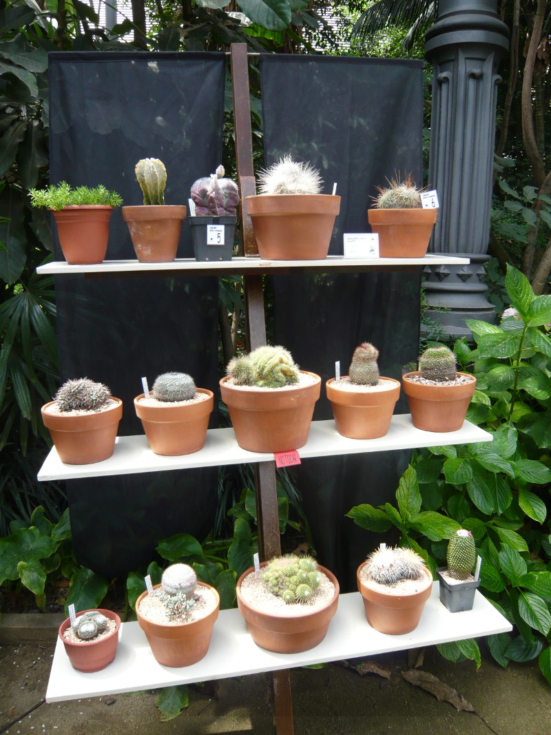 Exposición de Rafa