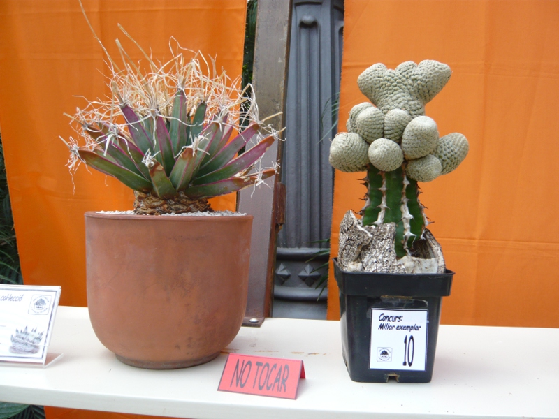 P1050247.JPG