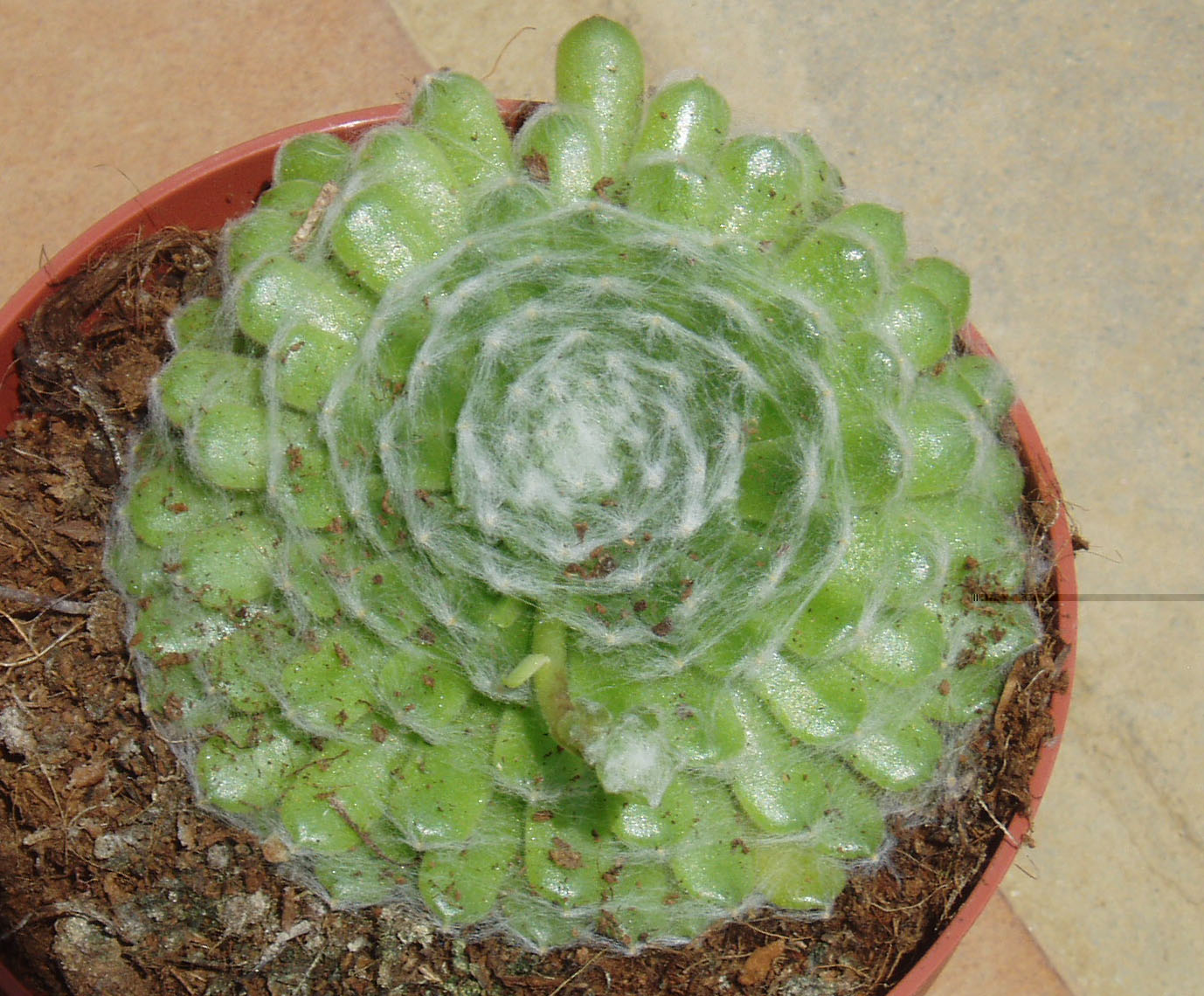 P1010326.JPG