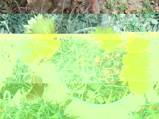 A 001.jpg