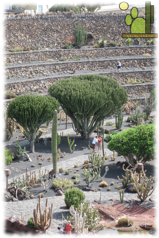 Jardin 005.JPG