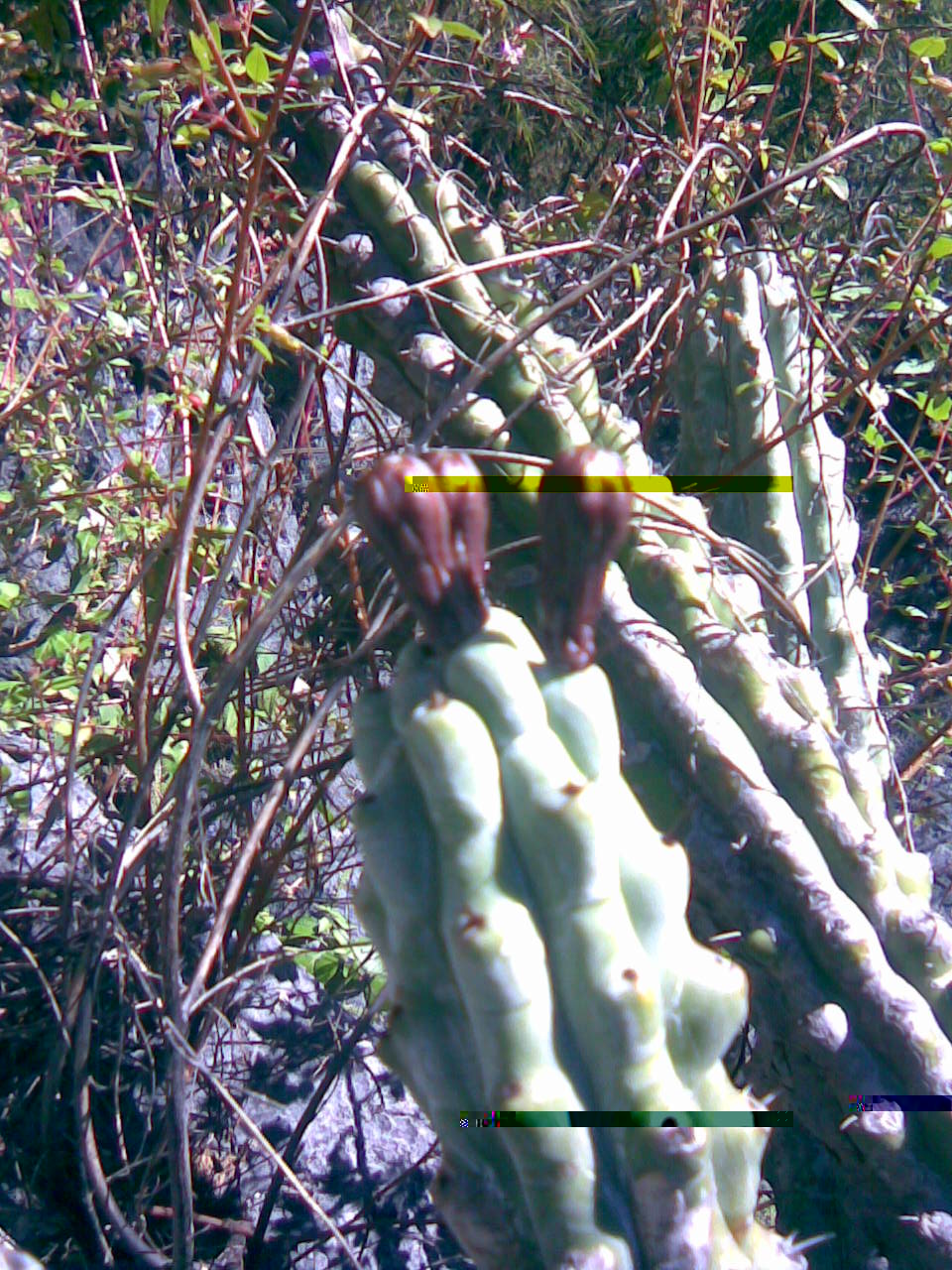 Imagen023.jpg