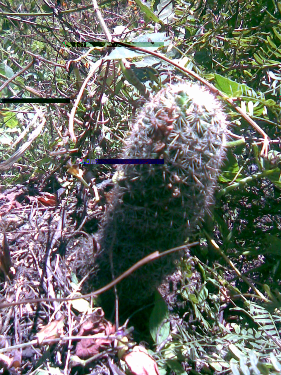 Imagen011.jpg