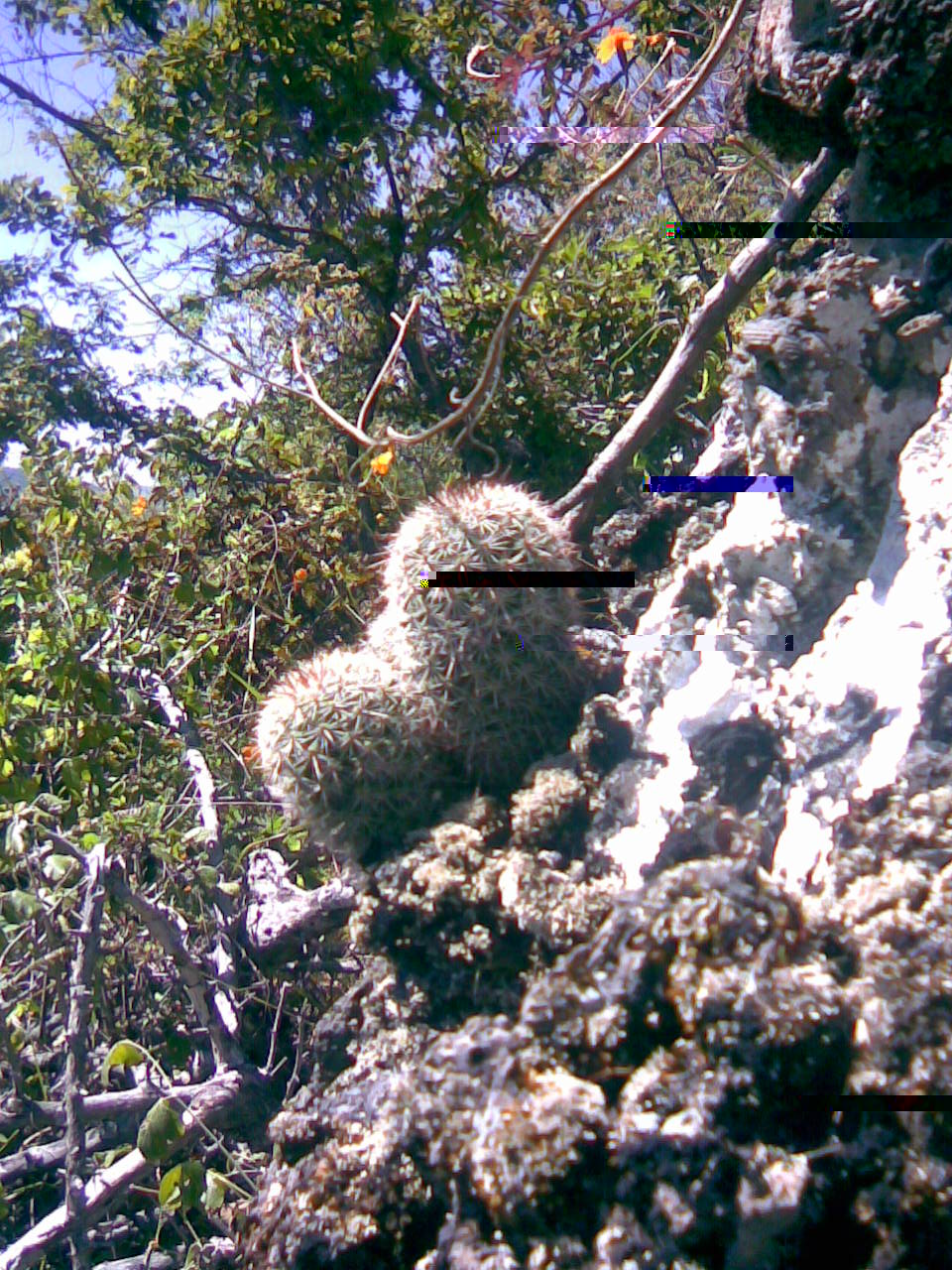 Imagen019.jpg