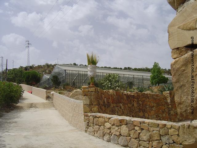 DSC01799_JPG-md-gal32935.jpg