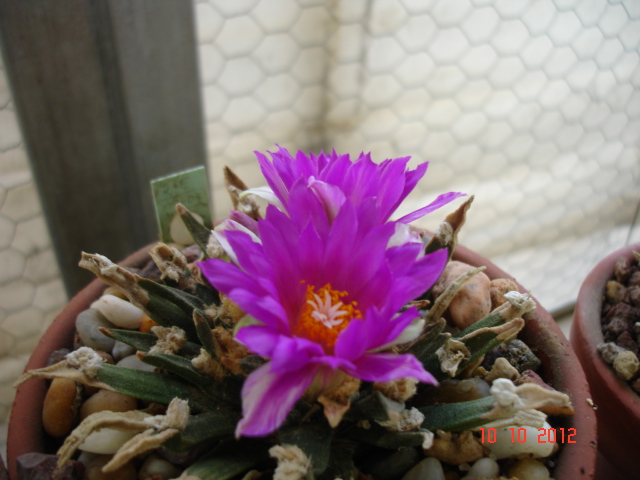 A 026.jpg