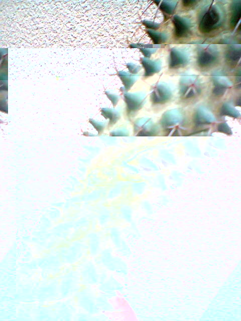 Foto0019.jpg