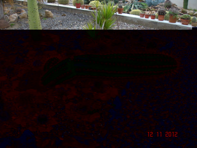 A 003.jpg
