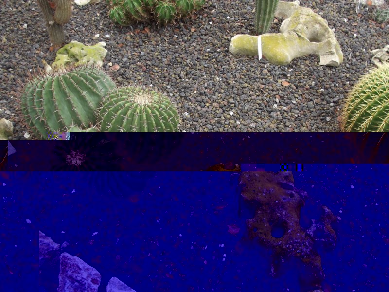 De las piedras que le gustan a Ornatum