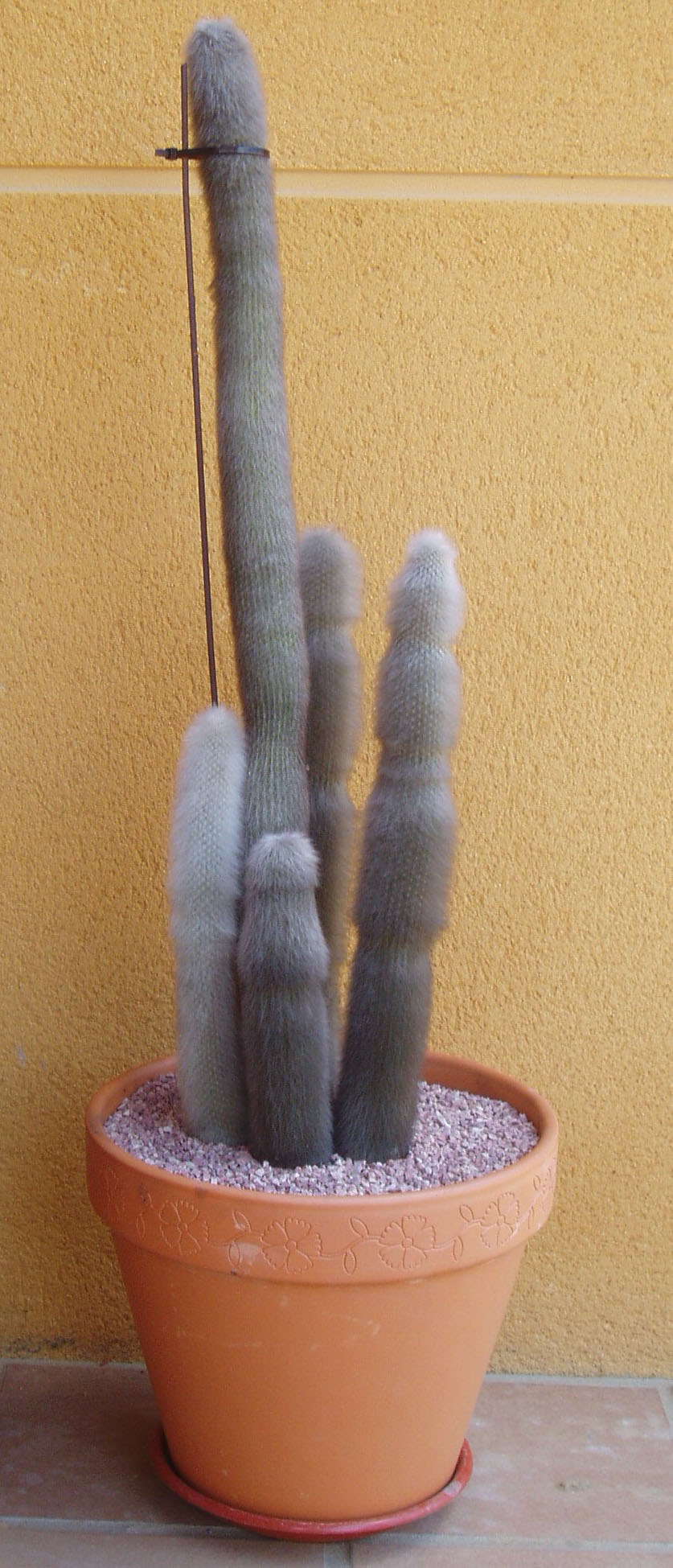 P1010169.JPG