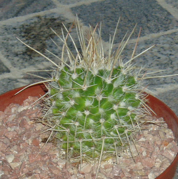 fotos piso 008.jpg