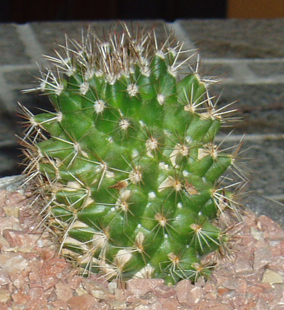 fotos piso 005.jpg