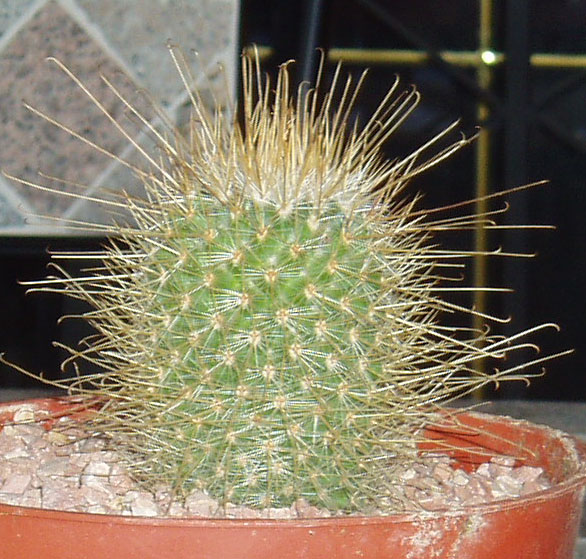 fotos piso 013.jpg