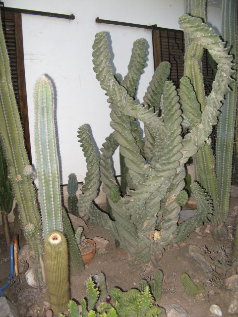 IMG_0849.jpg