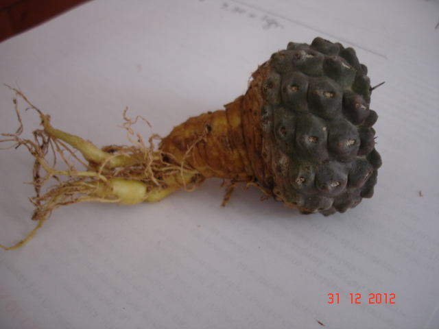 A 004.jpg