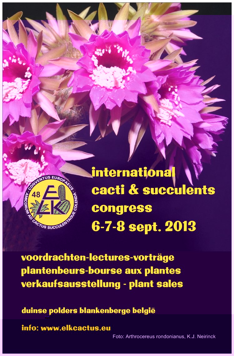 affiche international.jpg