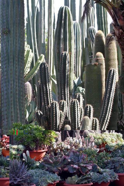 jardi9.jpg