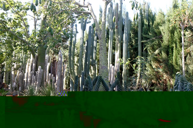 jardi04.jpg