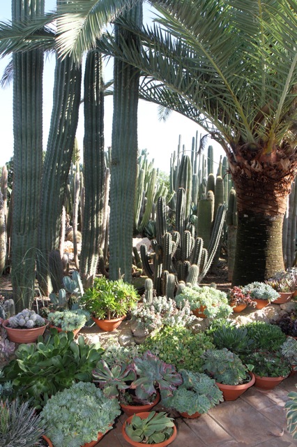 jardi09.jpg