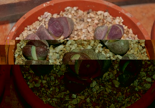02.jpg