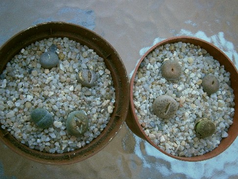 03.jpg