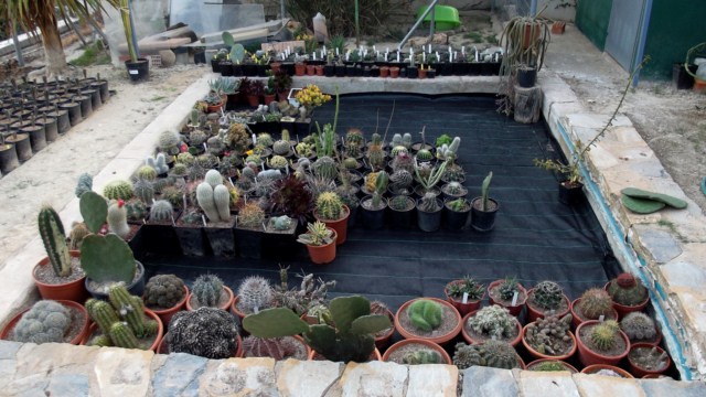 DSCF8508 [640x480].JPG