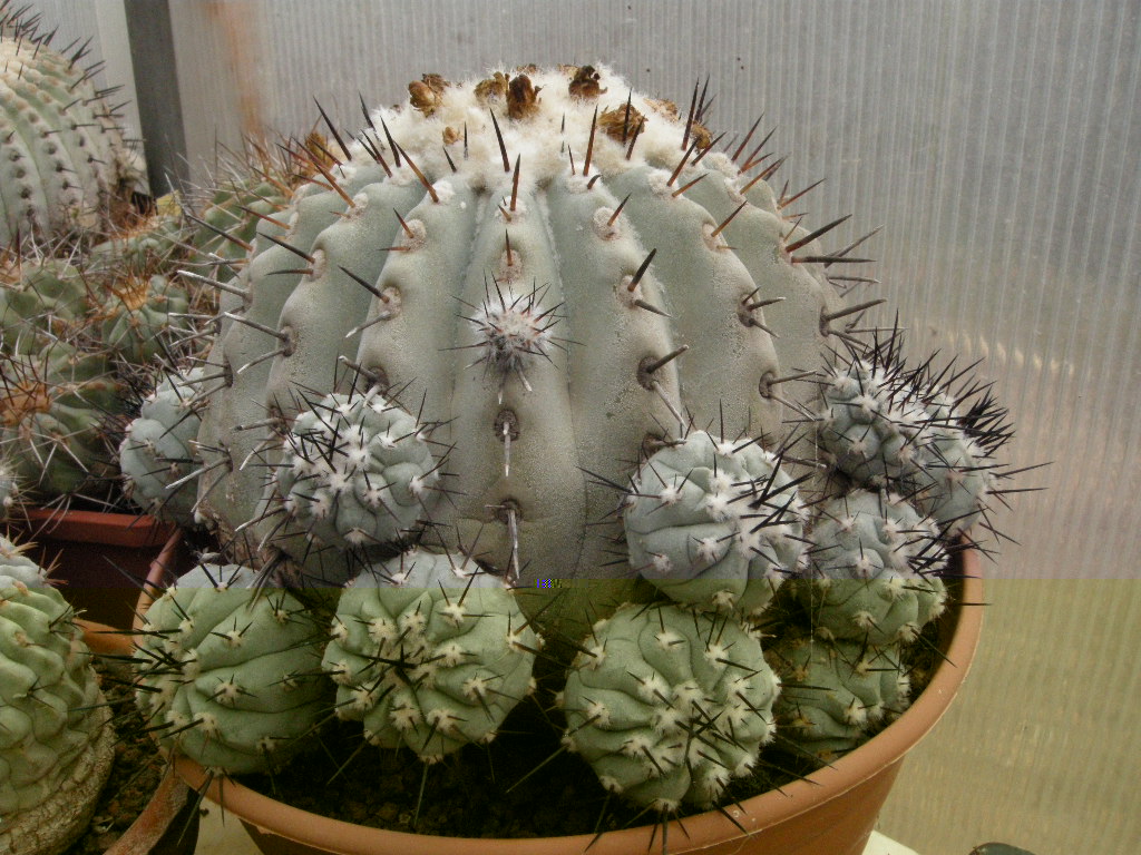 DSCN8441.JPG
