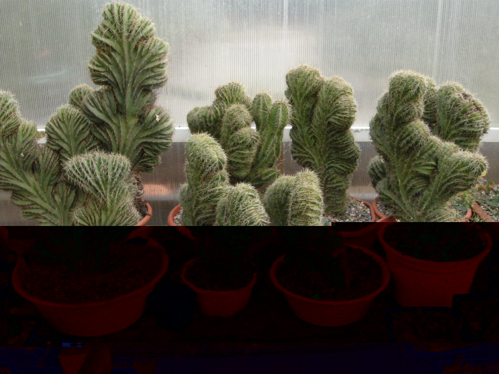 DSCN8437.JPG